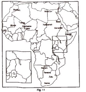 Pastoralists in the Modern World, Class 9 History NCERT Solutions