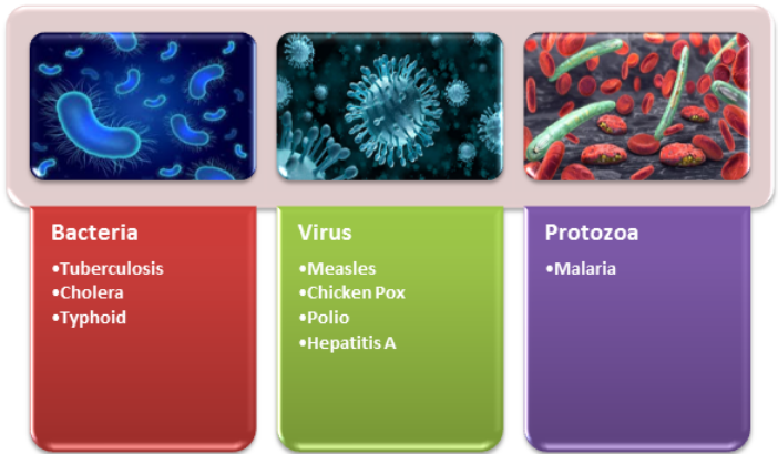 Revision Notes Class 8 Chapter 2 Microorganisms Friend And Foe