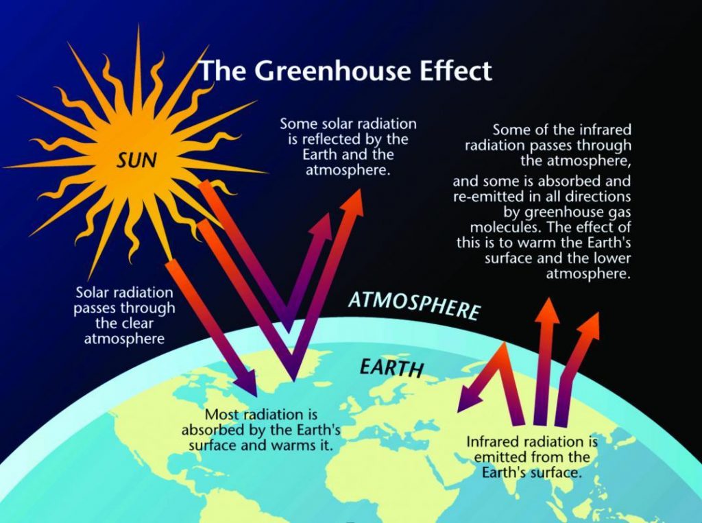 green house effect essay in hindi