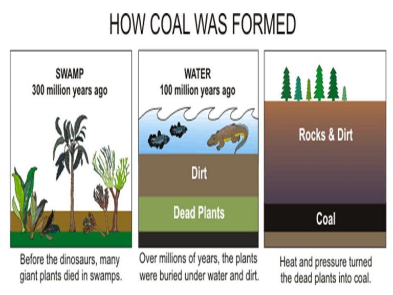 Revision Notes Class 8 Chapter 5 Coal And Petroleum